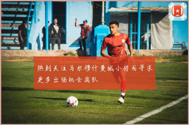 热刺关注马尔穆什曼城小将或寻求更多出场机会离队