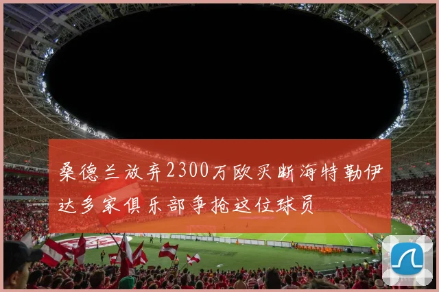 桑德兰放弃2300万欧买断海特勒伊达多家俱乐部争抢这位球员